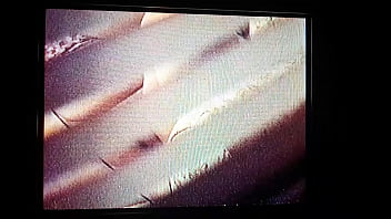 Bbw neighbor diddling with her pussy