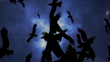 Apex season 9 bot lobby hidden method