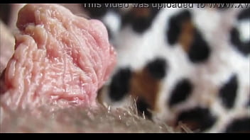 Pussy orgasm