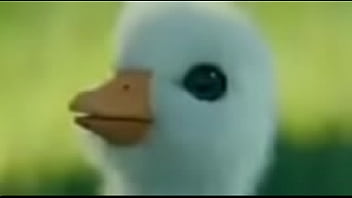 Soy gau y putito shitpost terminan follando alv Soy gau y putito shitpost terminan follando alv