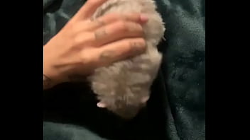 Literally this chonka rodent has no idea how much he helps my mental health