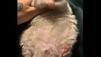 Literally this chonka rodent has no idea how much he helps my mental health