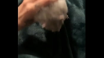 Literally this chonka rodent has no idea how much he helps my mental health