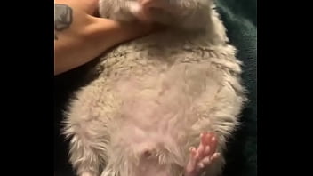 Literally this chonka rodent has no idea how much he helps my mental health