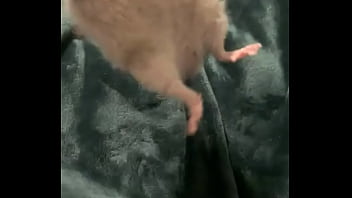 Literally this chonka rodent has no idea how much he helps my mental health