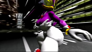 Flash track sonic sfm