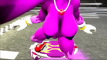 Flash track sonic sfm