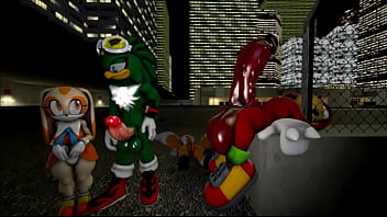 Flash track sonic sfm