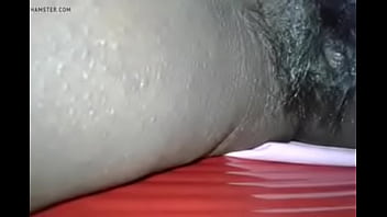 Desi hairy bhabhi