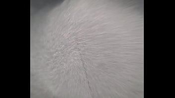 Jalandomela porque ando caliente