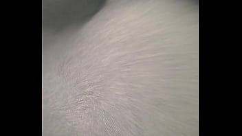 Jalandomela porque ando caliente