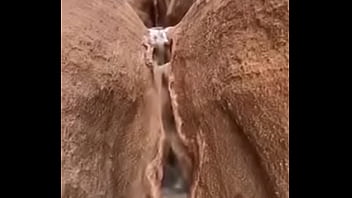 Video bokep part 73574811