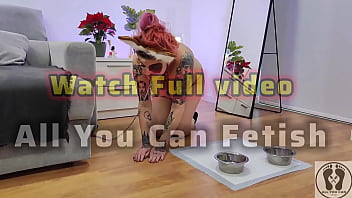 Promo pooch rubbing couch and masturbates with special dildo