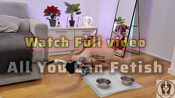 Promo pooch rubbing couch and masturbates with special dildo