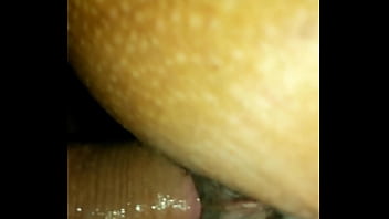 Delicia foder Delicia foder