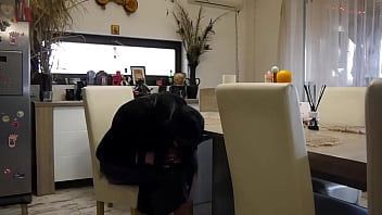 Milfycalla stepmom lap training and joi preview