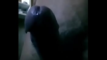 Hetero De Campo thumbnail