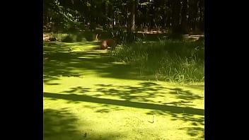 Ověřovací Video thumbnail