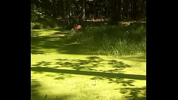 Ověřovací Video thumbnail