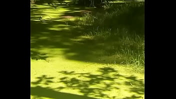 Ověřovací Video thumbnail