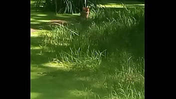 Ověřovací Video thumbnail