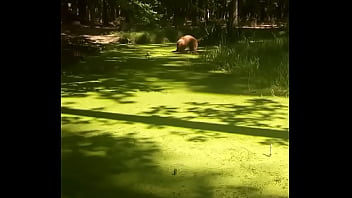 Ověřovací Video thumbnail