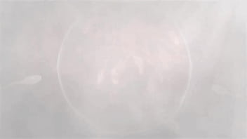 Roblox girl gangbanged in an alleyway