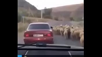 Video bokep part 65628507