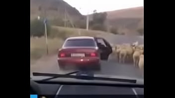 Video bokep part 65628507