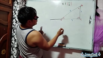 19 trigonometría sexual mitad ángulo tu x