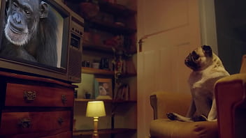 Benefit unmatched blowjob madness – the most intense oral pleasures