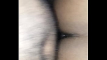 Hunny bunny goes wild