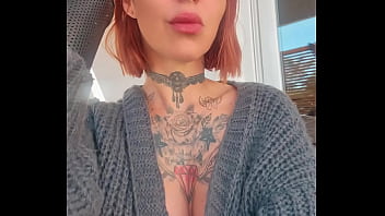 Les shows sont ouvert les petits chats