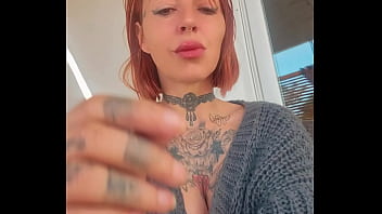 Les shows sont ouvert les petits chats