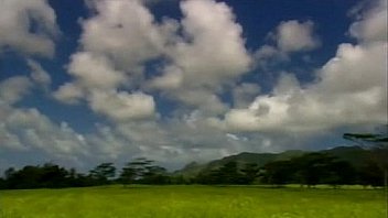 The erotic traveler 102 lost in