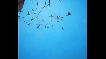 Lilia Cachonda Quiere Verga thumbnail