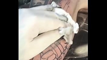 Quem está fechando o braço #gamedos100 #teamferpresto