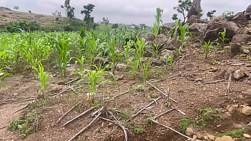 We went to the farm to fuck