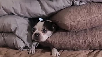 Sex interrupted in a funny way i hate when this happens