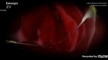 Peituda gostosa fudendo