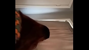 Compra el mejor contenido