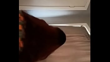 Compra el mejor contenido