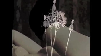 Vintage silent films