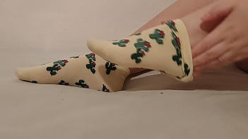 Cacti socks you love