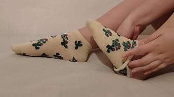 Cacti socks you love