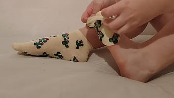 Cacti socks you love