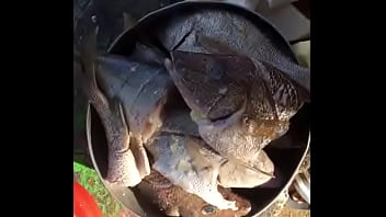 El rondón el plato tipico que se sirve generalmente en los restaurantes jamaicanos exqiusito