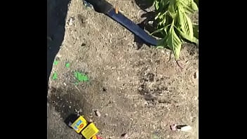 El Rondón El Plato Tipico Que Se Sirve Generalmente En Los Restaurantes Jamaicanos Exqiusito thumbnail