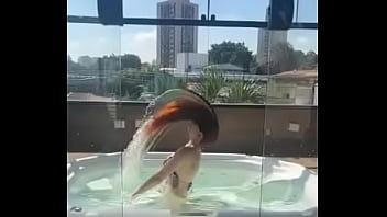 Já estão se desindo do calor ️