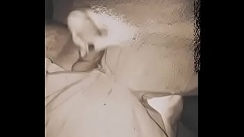 Blond trans sucos cock6